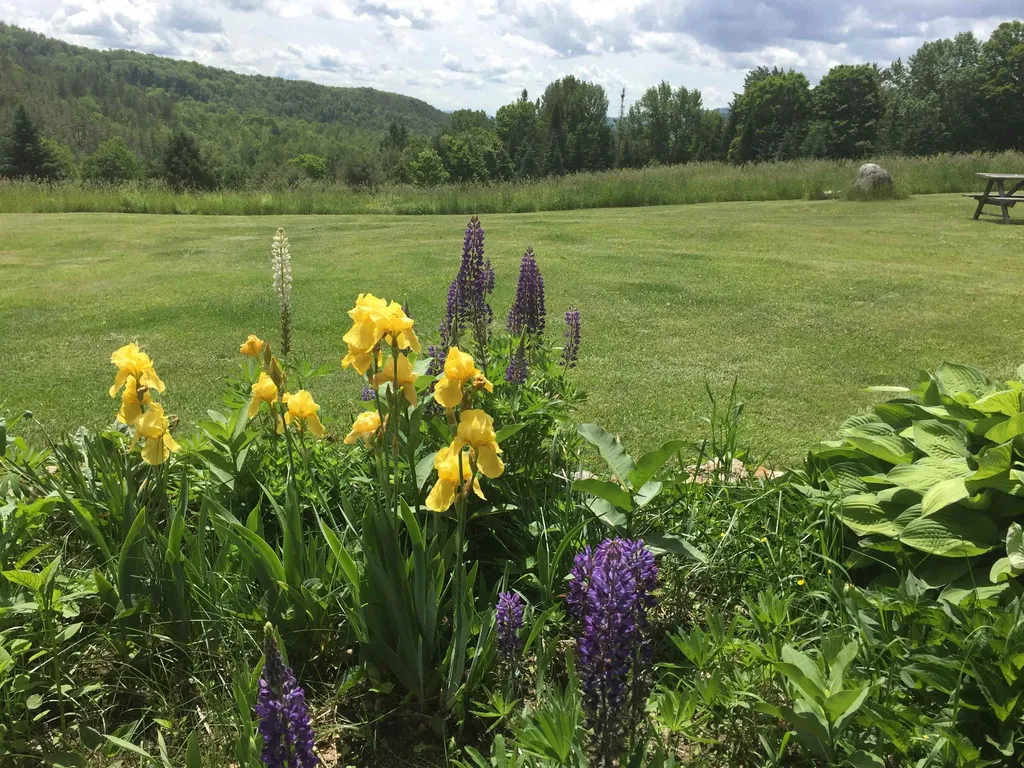 1749 Wrights Mountain Road Bradford VT 05033