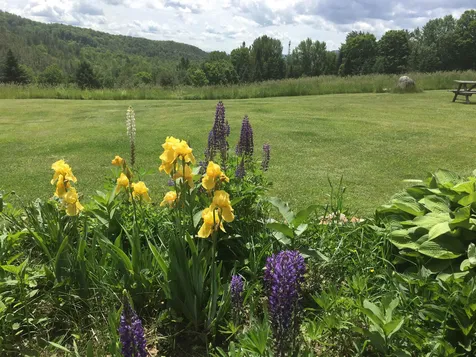 1749 Wrights Mountain Road Bradford VT 05033