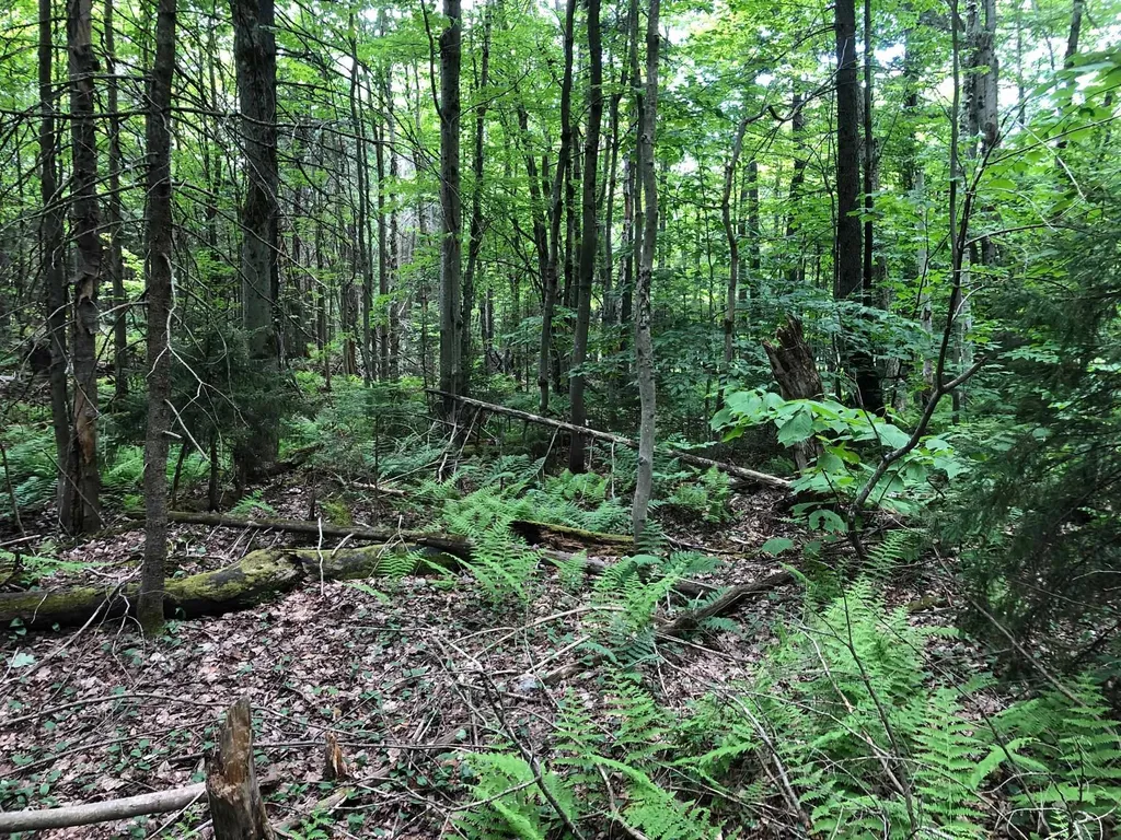 12 Timberview Road Dover VT 05356
