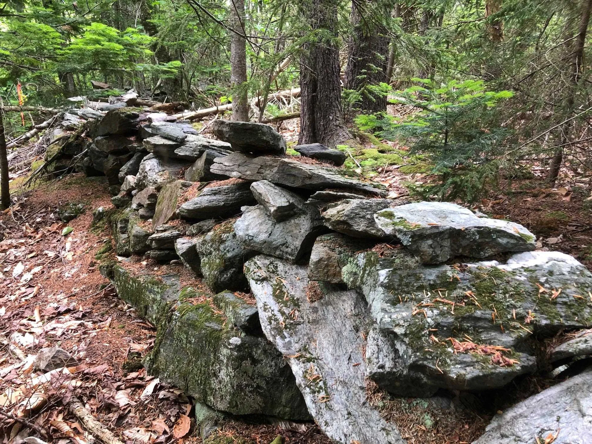 12 Timberview Road Dover VT 05356