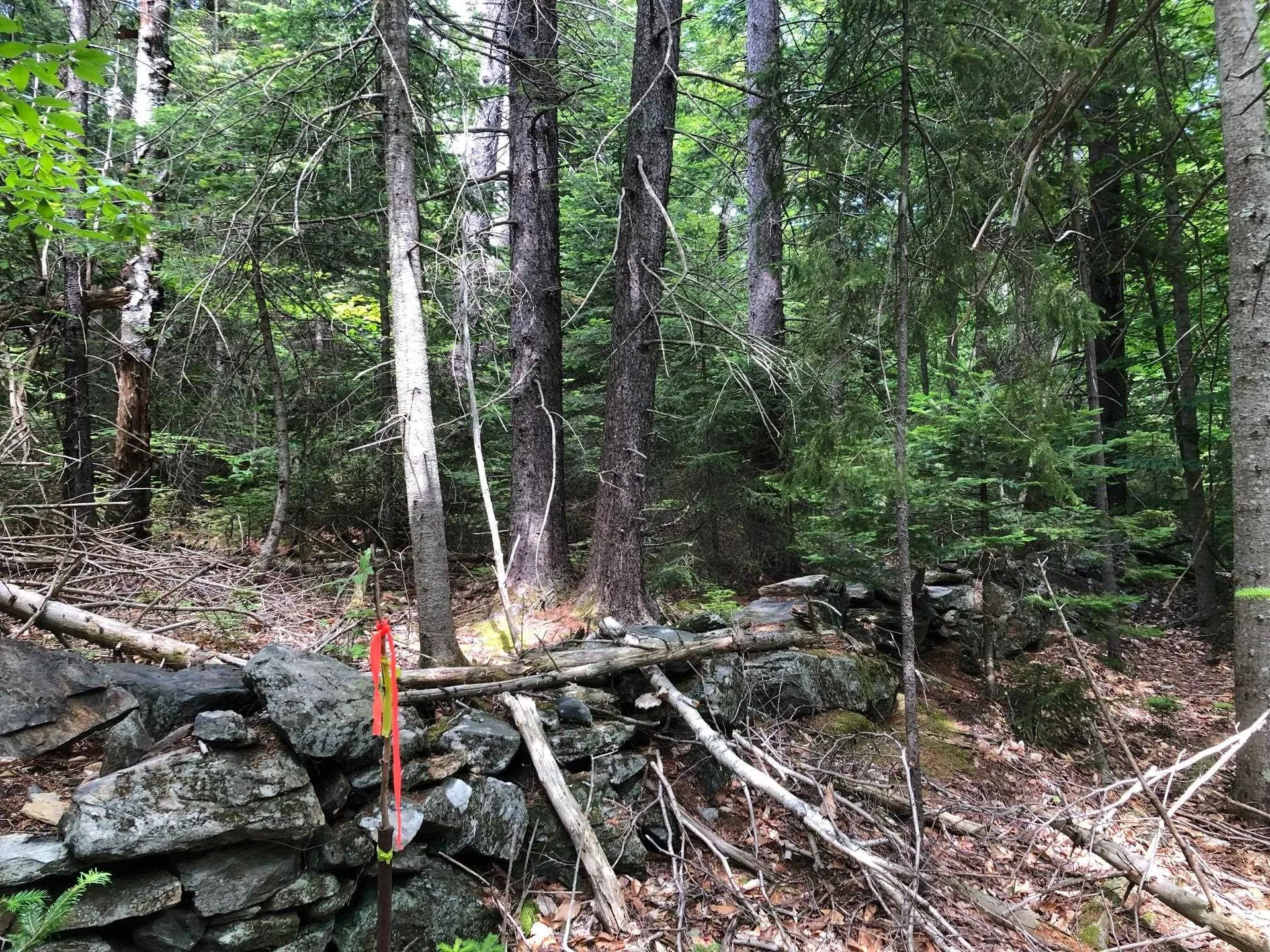 12 Timberview Road Dover VT 05356