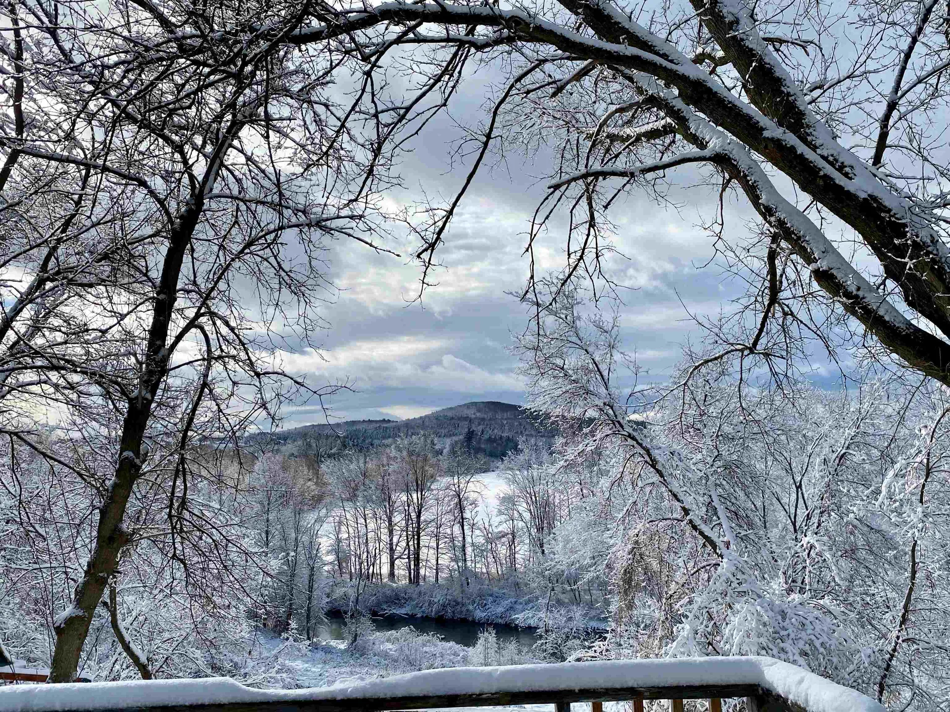 2 Plains Road Jericho VT 05465