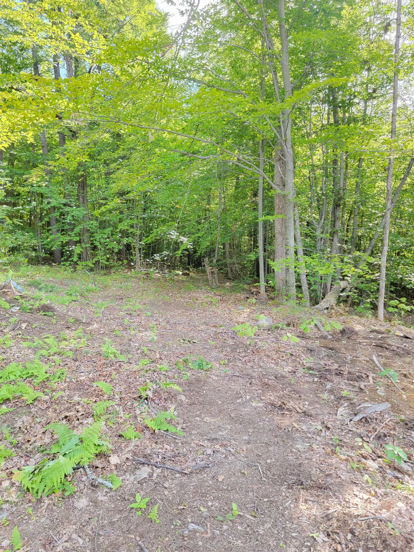 143 Center Harbor Neck Road Center Harbor NH 03226