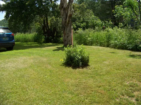19 Austin Hill Road Rochester VT 05767