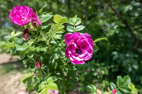 21 Shop Road Hill NH 03243