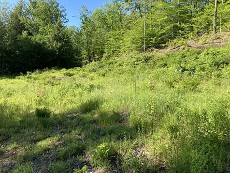95 Seven Pines Road Holderness NH 03245