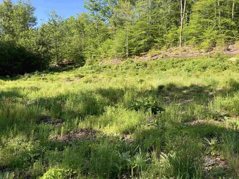 95 Seven Pines Road Holderness NH 03245