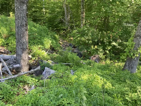 95 Seven Pines Road Holderness NH 03245