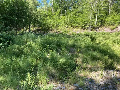 95 Seven Pines Road Holderness NH 03245