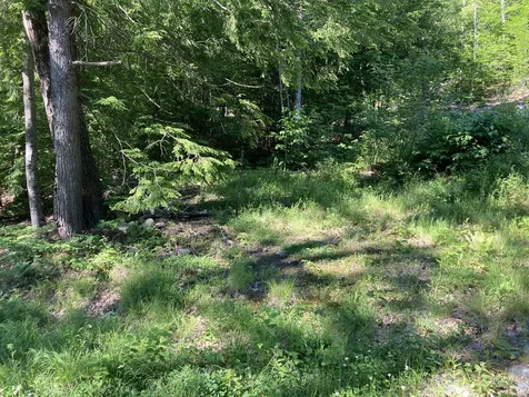 95 Seven Pines Road Holderness NH 03245