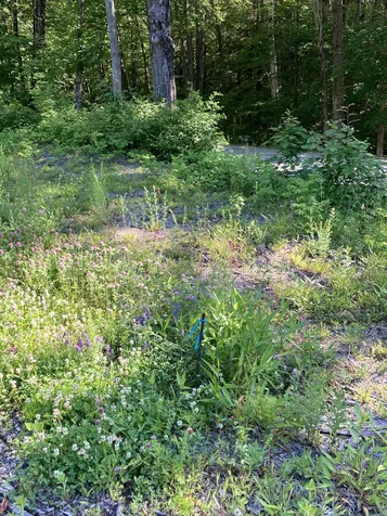 95 Seven Pines Road Holderness NH 03245
