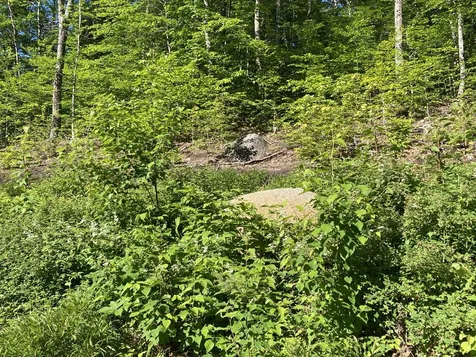 95 Seven Pines Road Holderness NH 03245