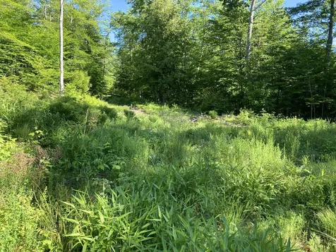 95 Seven Pines Road Holderness NH 03245