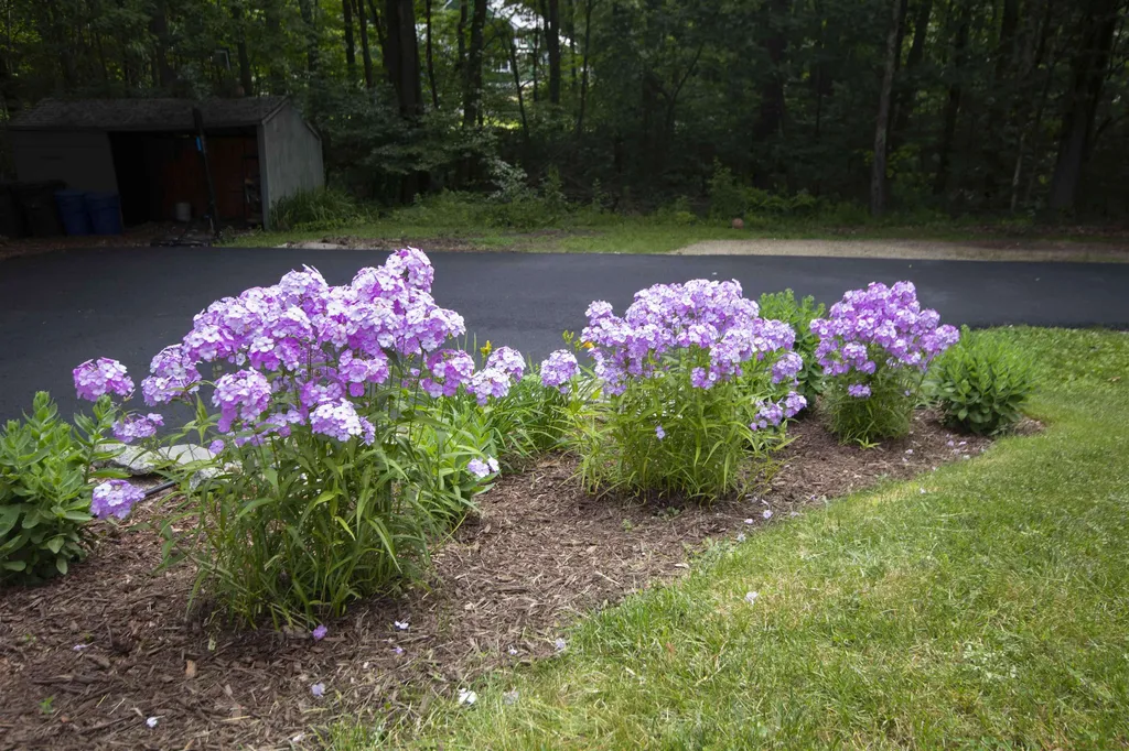 110 Warner Hill Road Derry NH 03038