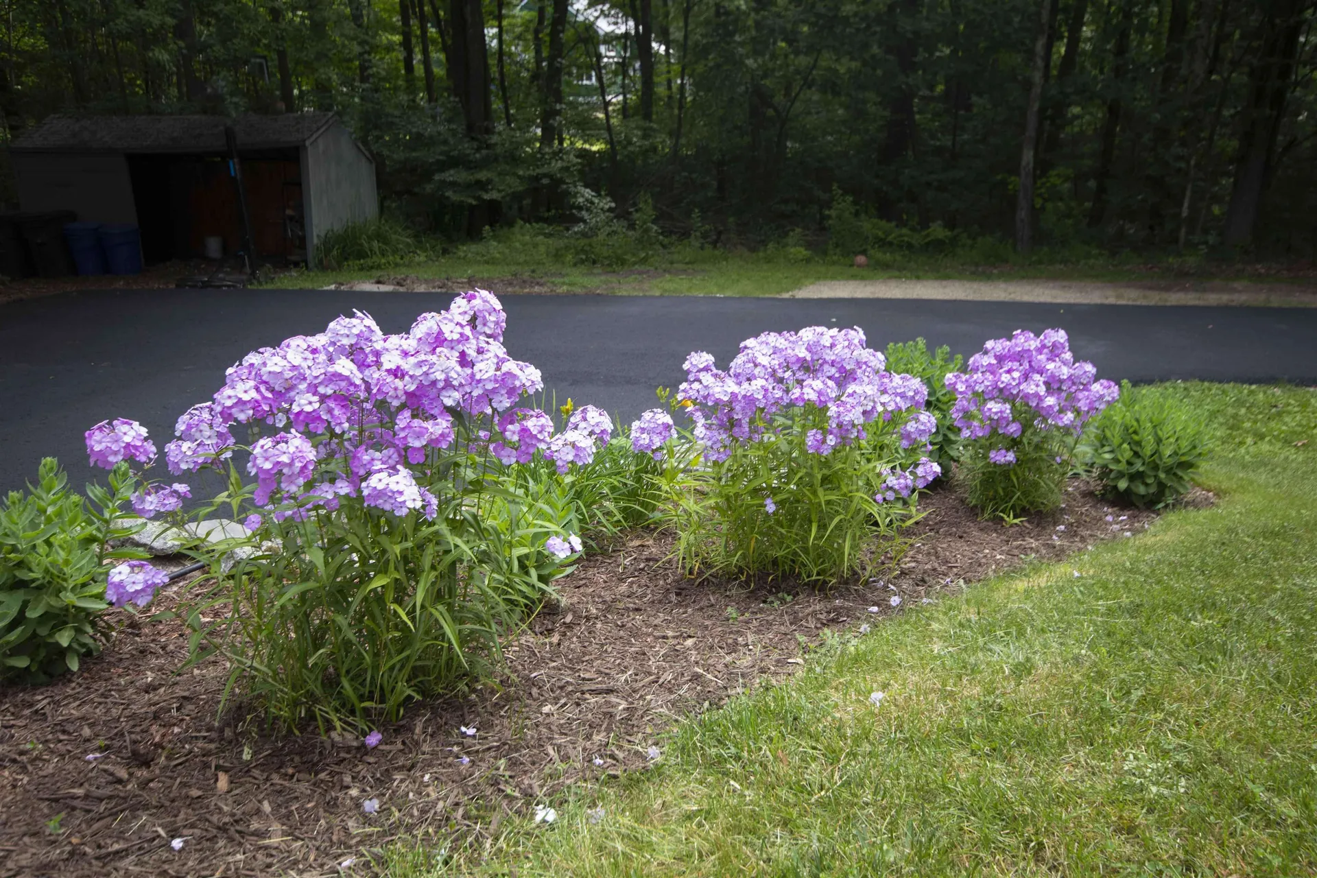 110 Warner Hill Road Derry NH 03038