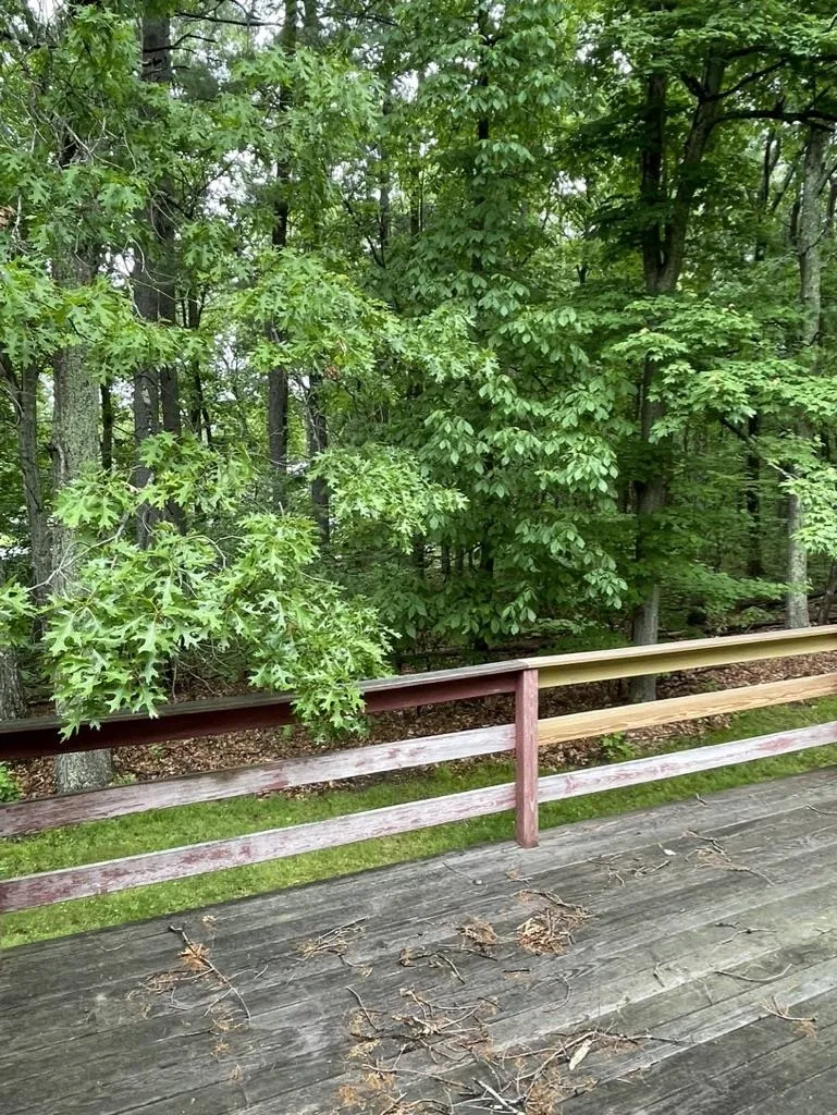 48 Brady Avenue Derry NH 03038