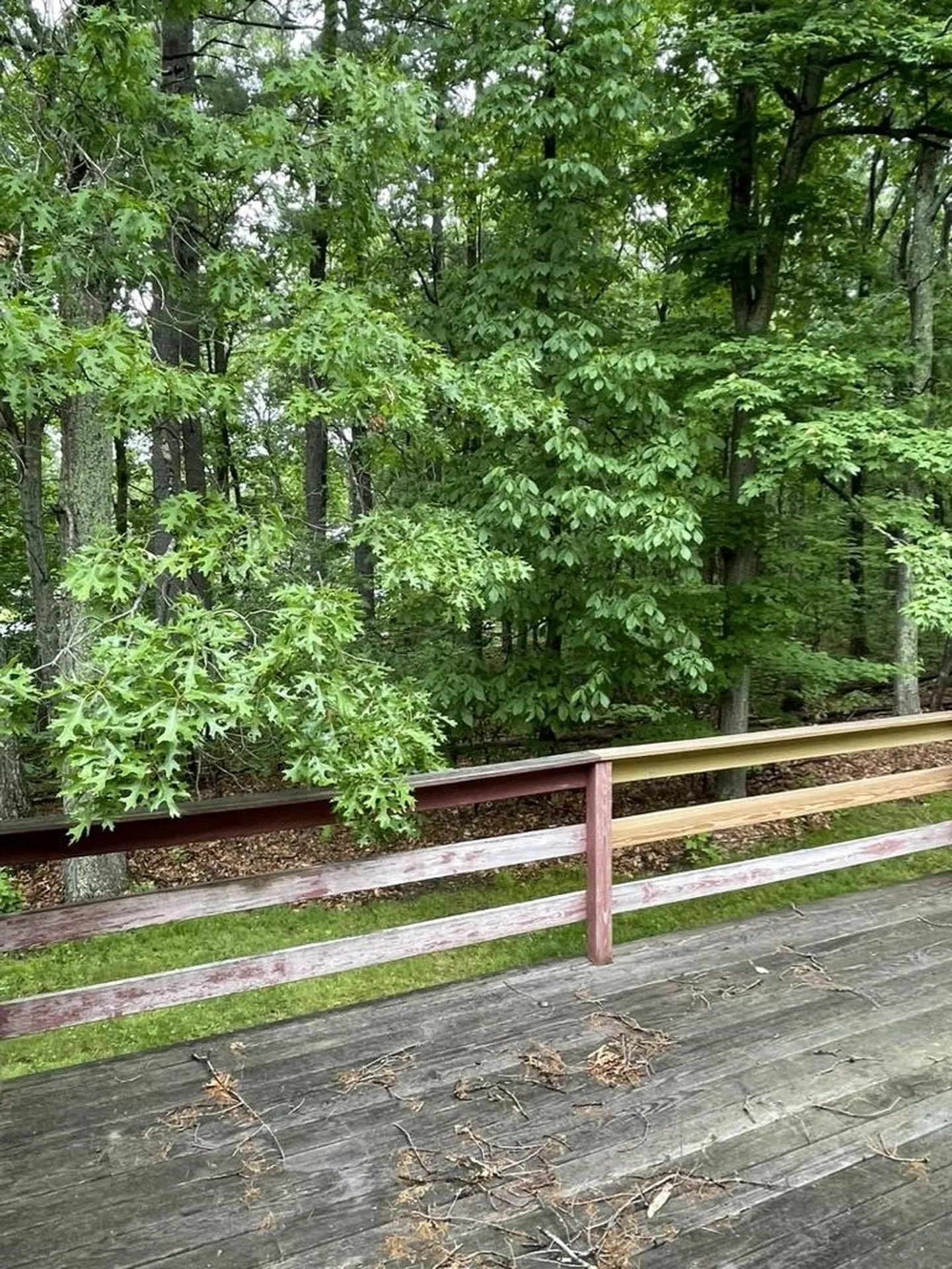 48 Brady Avenue Derry NH 03038