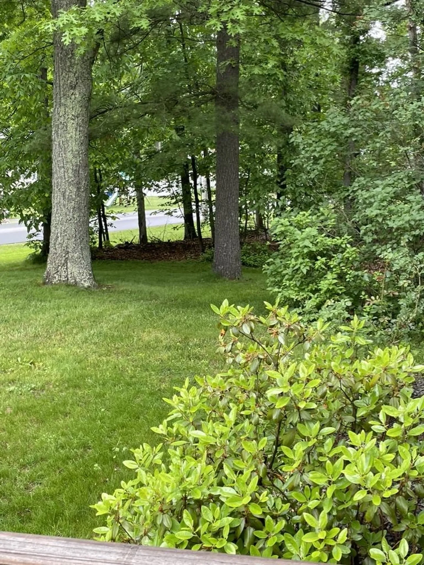 48 Brady Avenue Derry NH 03038