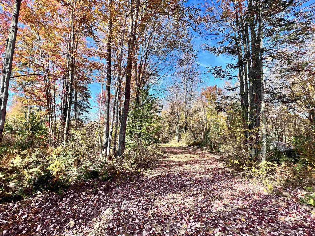 Lot 4 Steiss Road Milan NH 03588