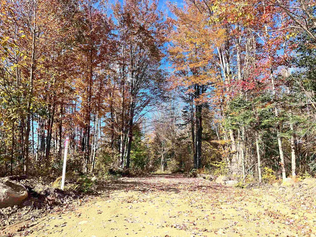 Lot 4 Steiss Road Milan NH 03588