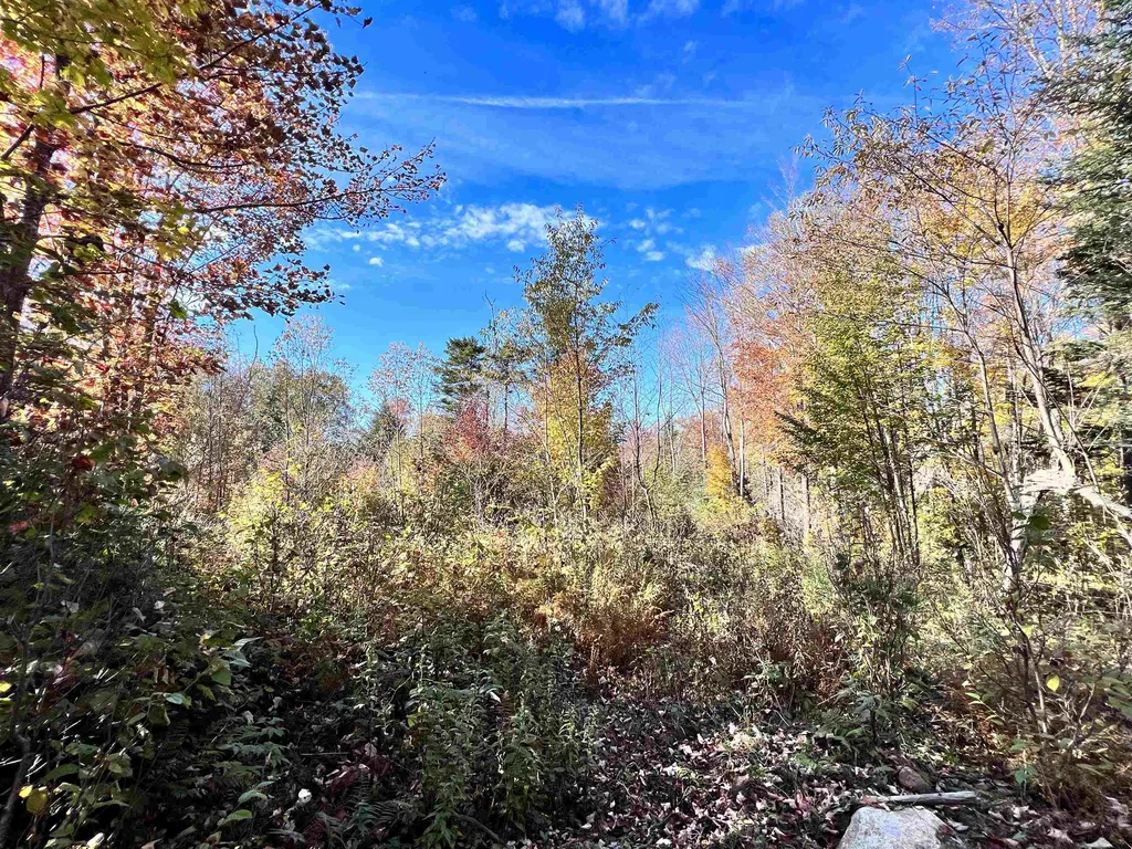 Lot 4 Steiss Road Milan NH 03588