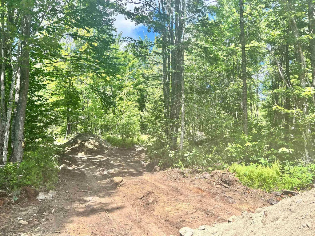 Lot 4 Steiss Road Milan NH 03588
