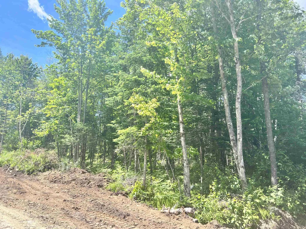 Lot 4 Steiss Road Milan NH 03588