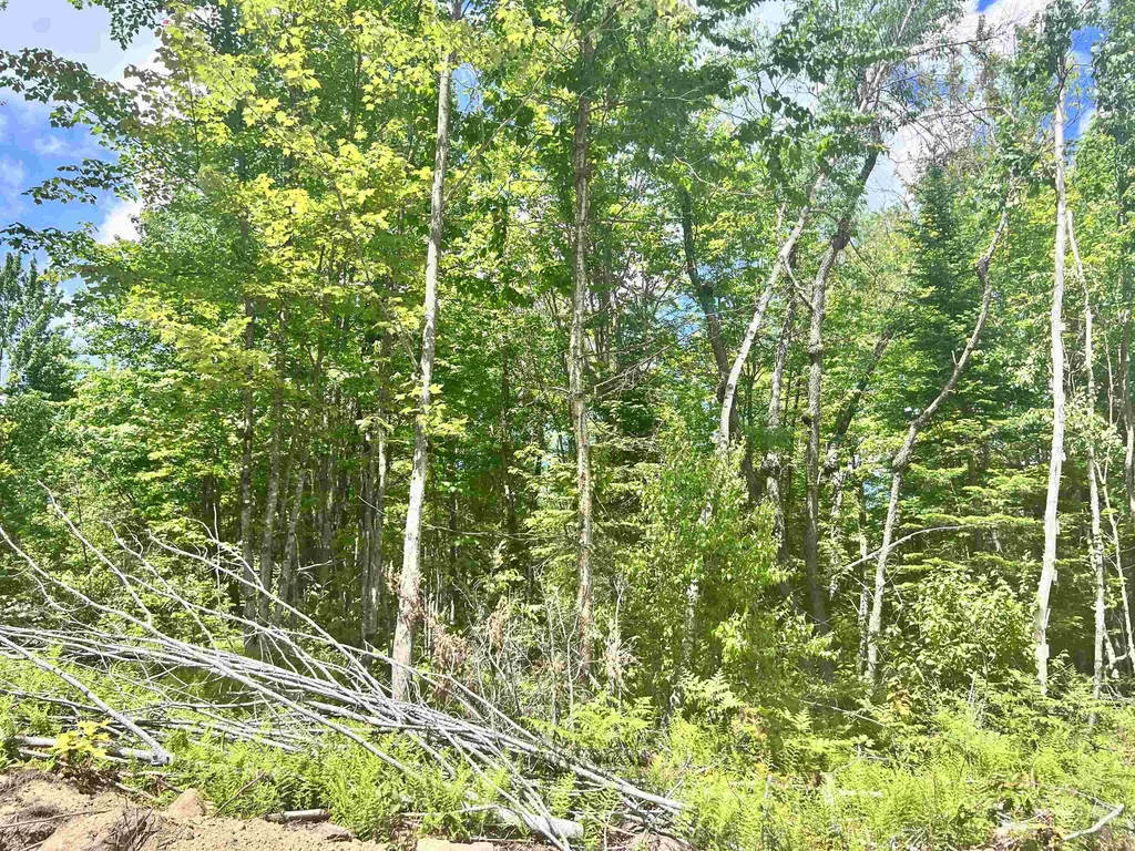 Lot 4 Steiss Road Milan NH 03588