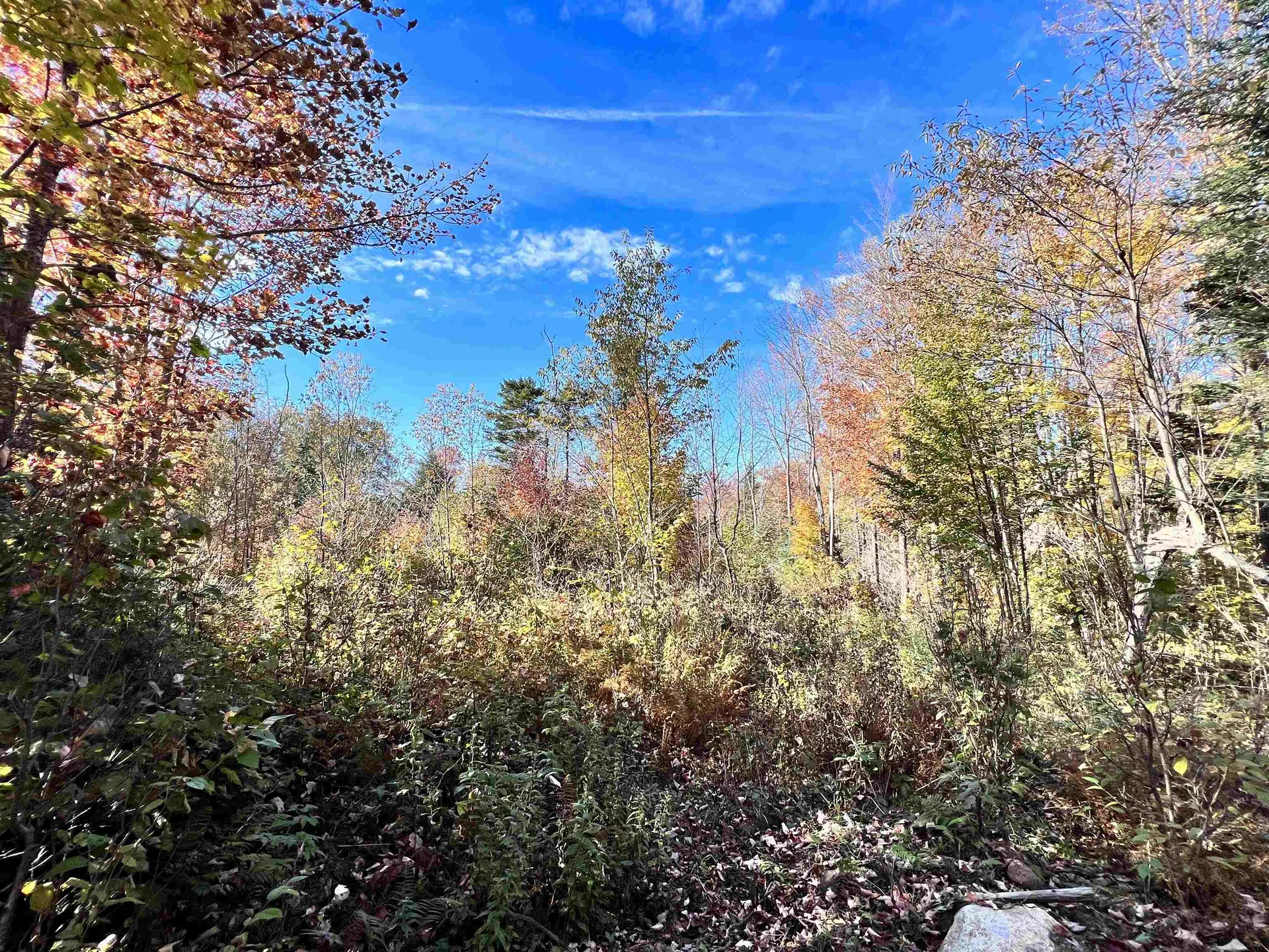 Lot 4 Steiss Road Milan NH 03588