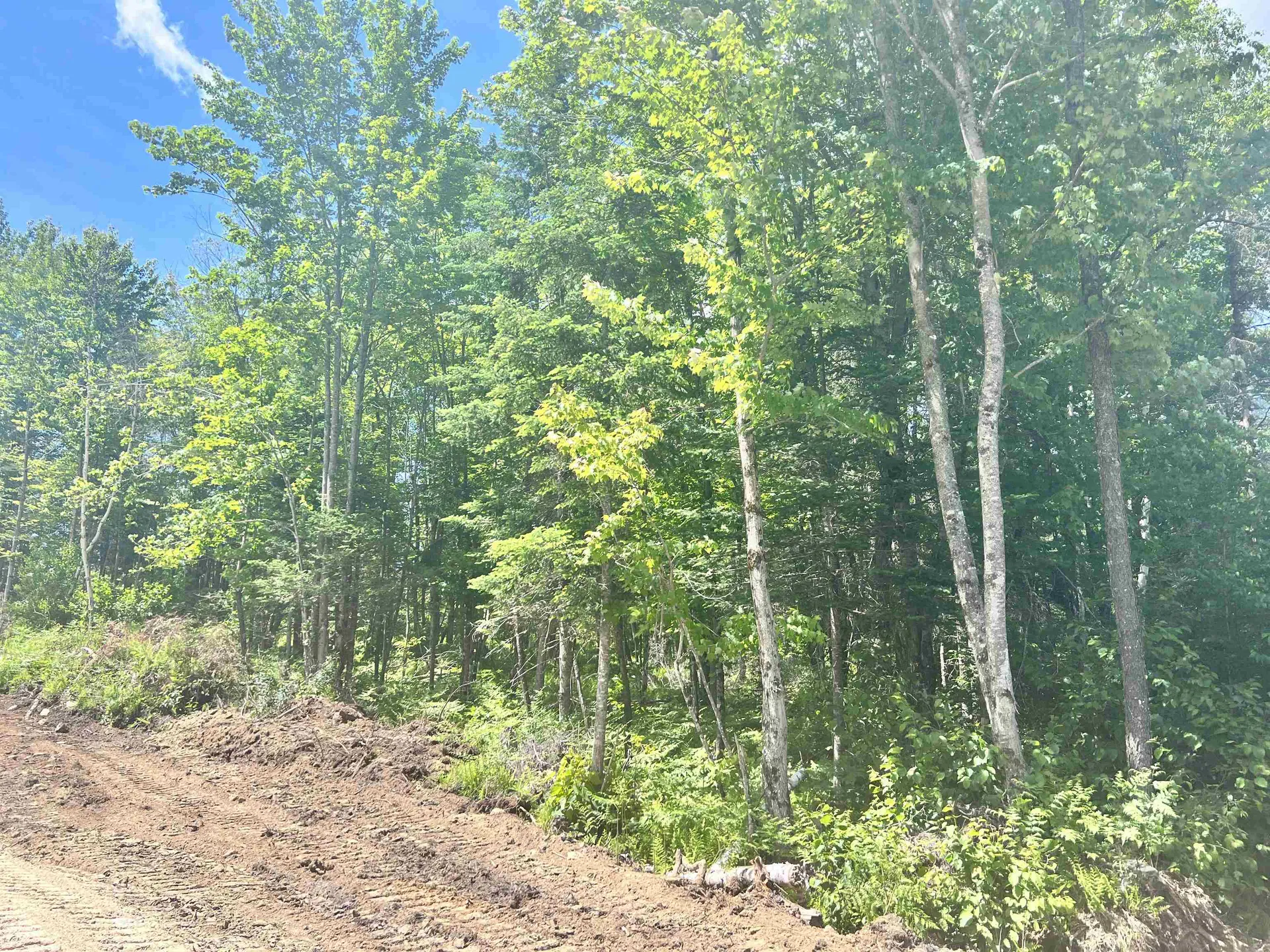 Lot 4 Steiss Road Milan NH 03588