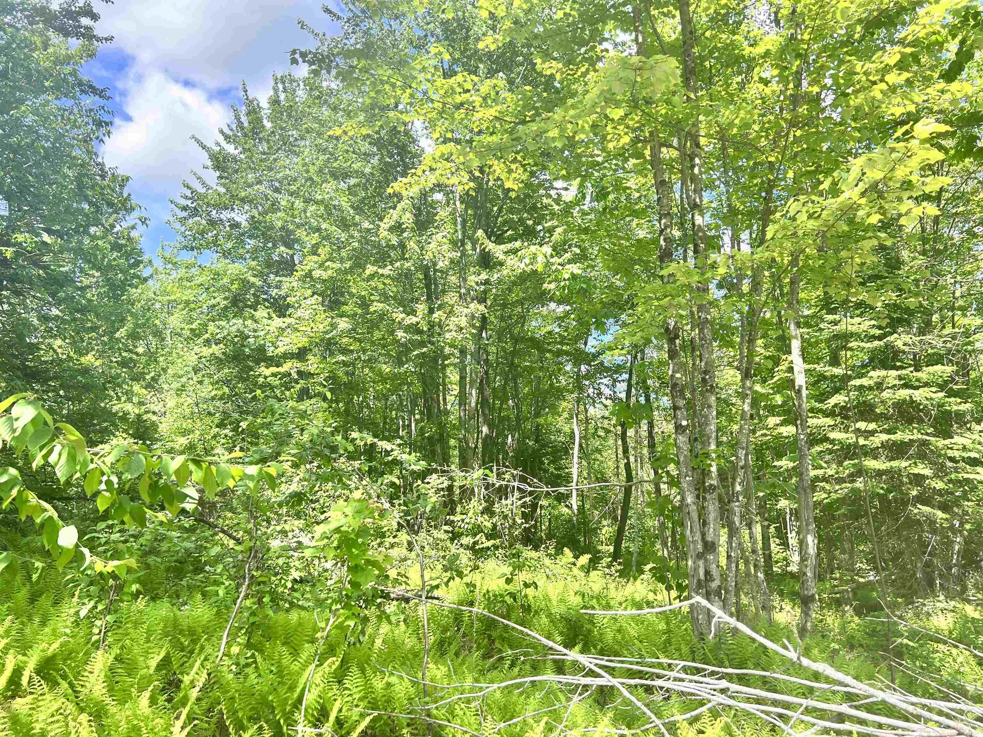 Lot 4 Steiss Road Milan NH 03588