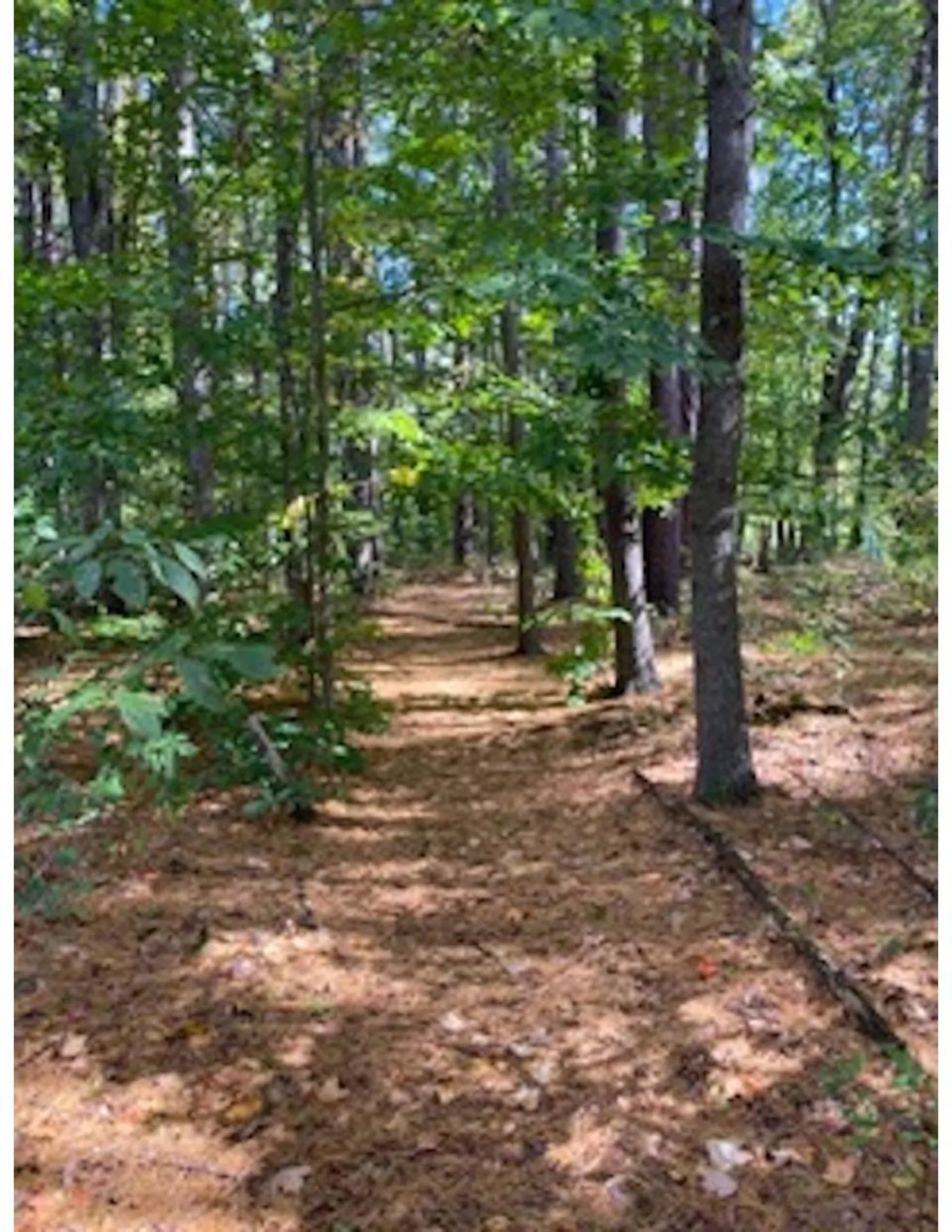 23 Surrey Lane Durham NH 03824