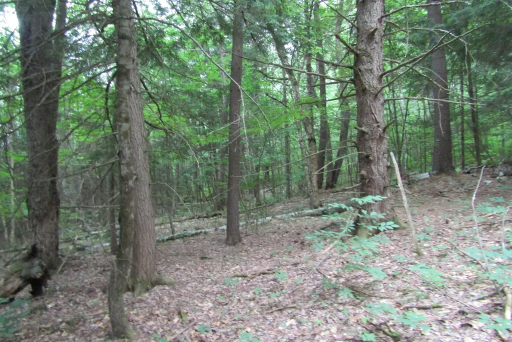 00 County Road Haverhill NH 03765