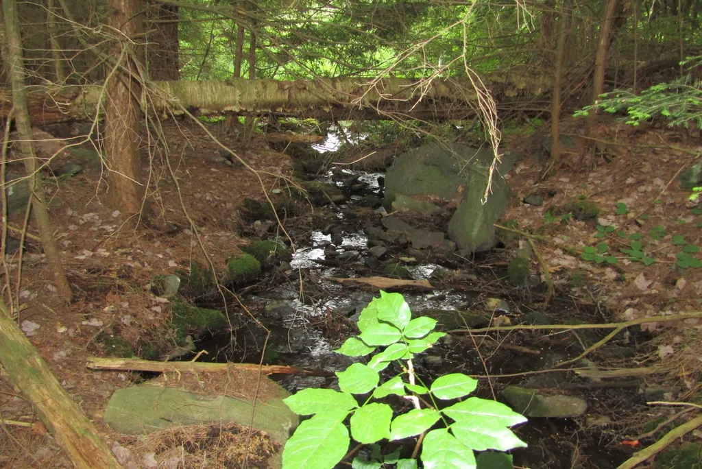 00 County Road Haverhill NH 03765