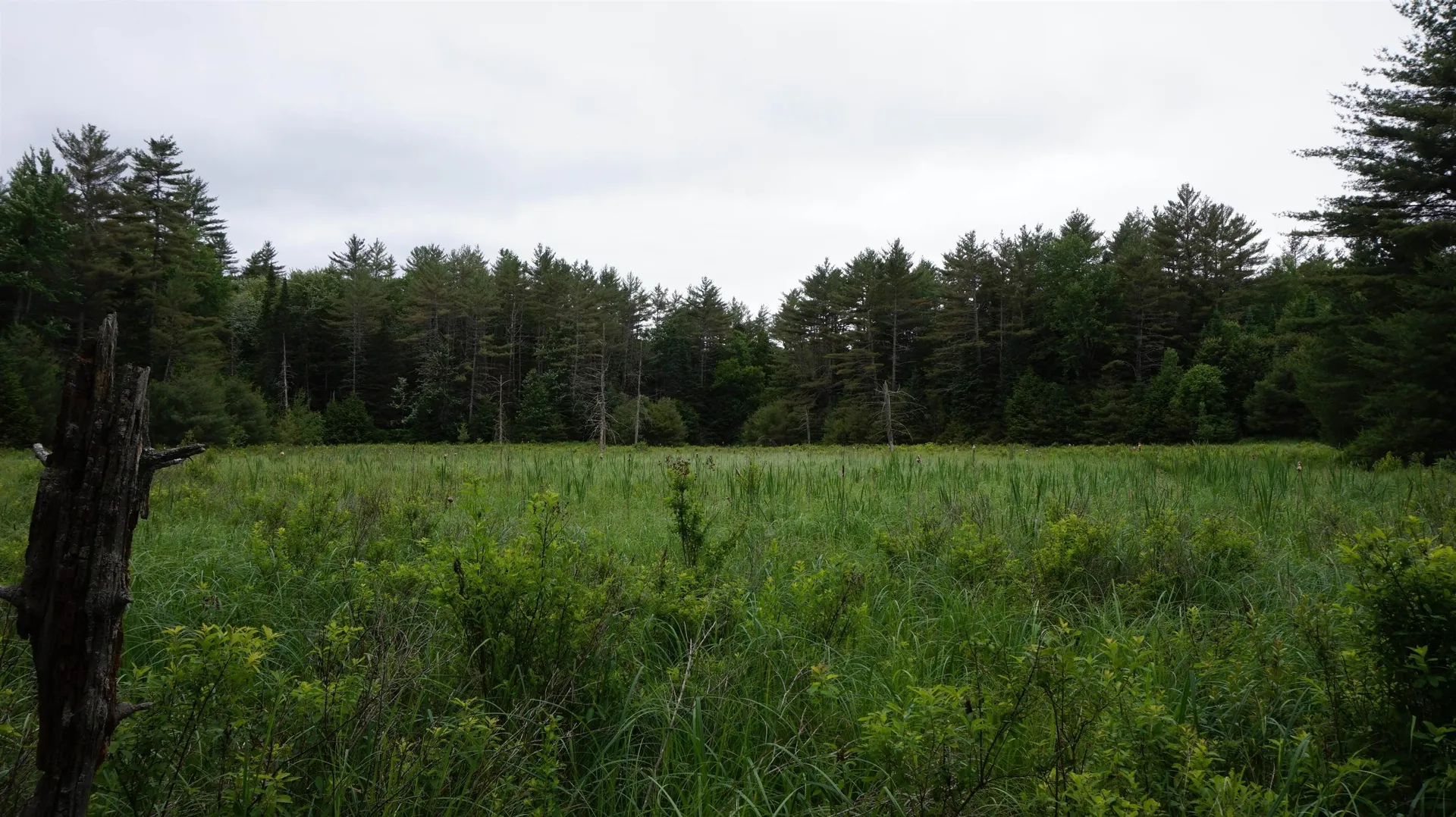 00 County Road Haverhill NH 03765