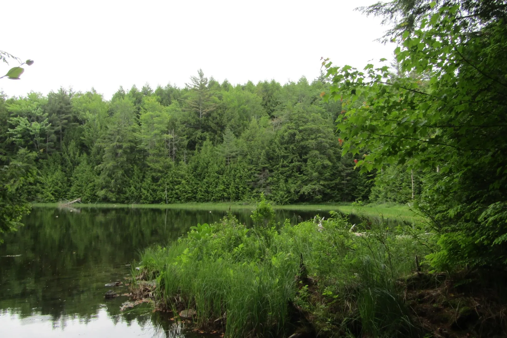00 County Road Haverhill NH 03765