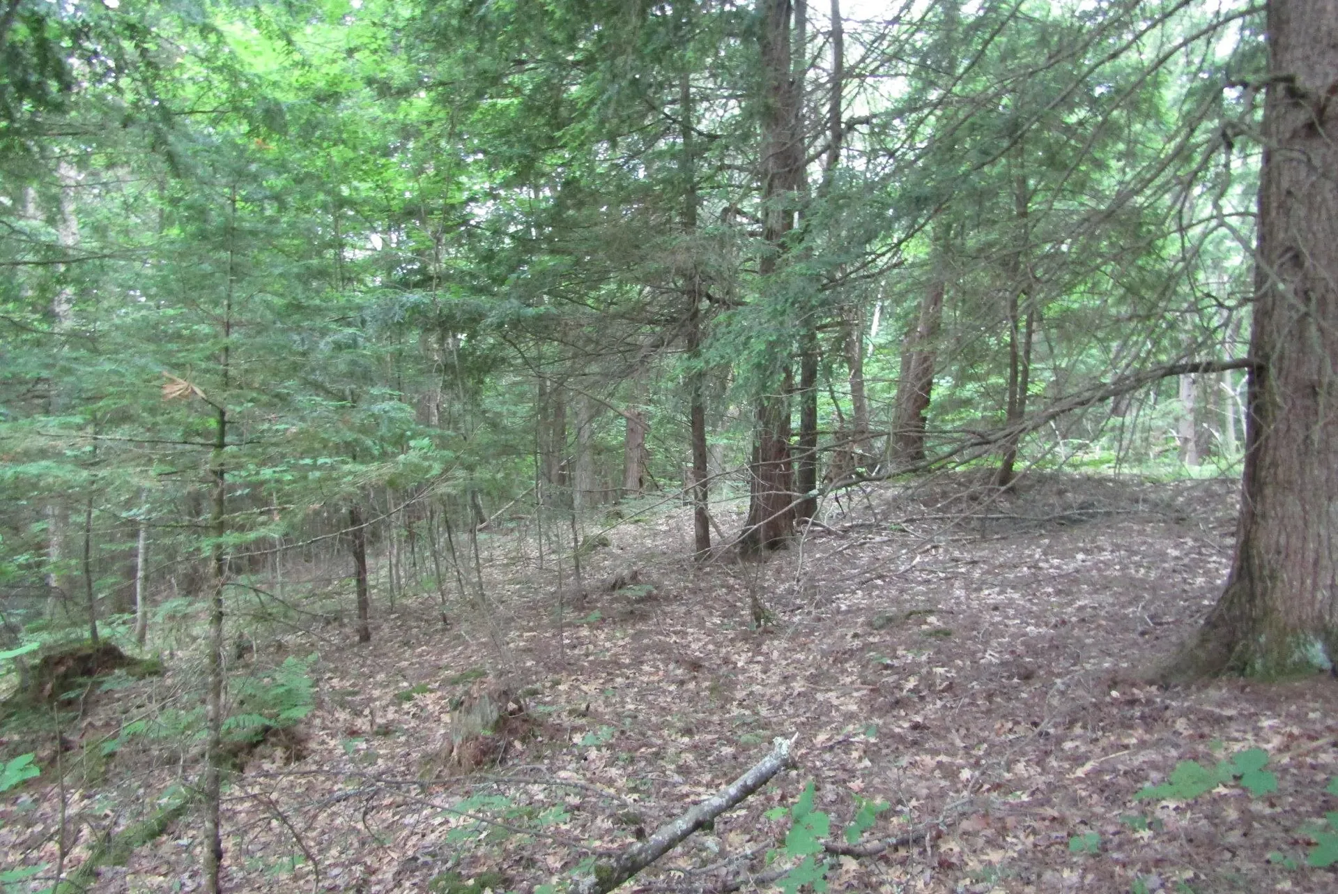 00 County Road Haverhill NH 03765