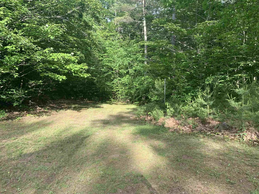 55 Balsam Drive Farmington NH 03835