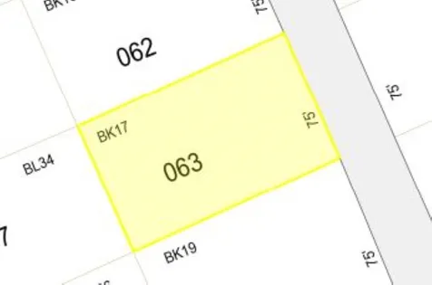 Raccoon Alley Hillsborough NH 03244