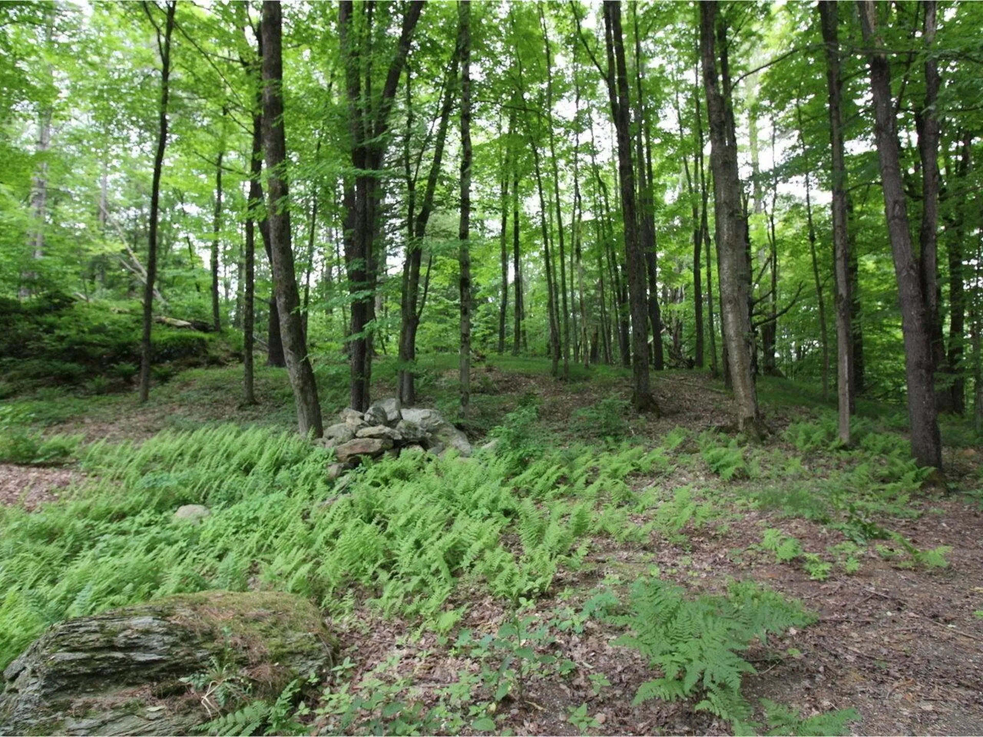 20 Lake Street Hinesburg VT 05461