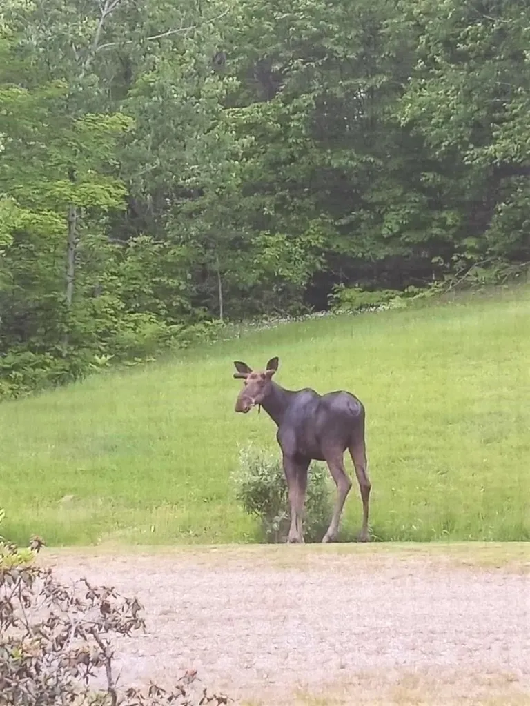 861 Upton Road Errol NH 03579