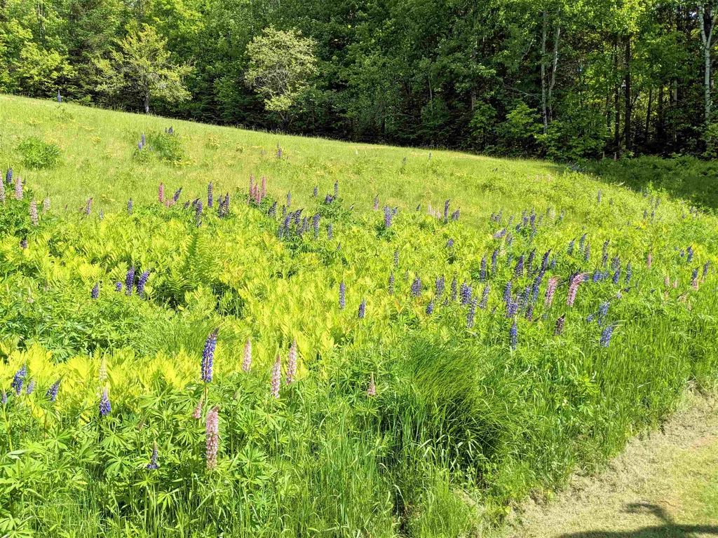 861 Upton Road Errol NH 03579