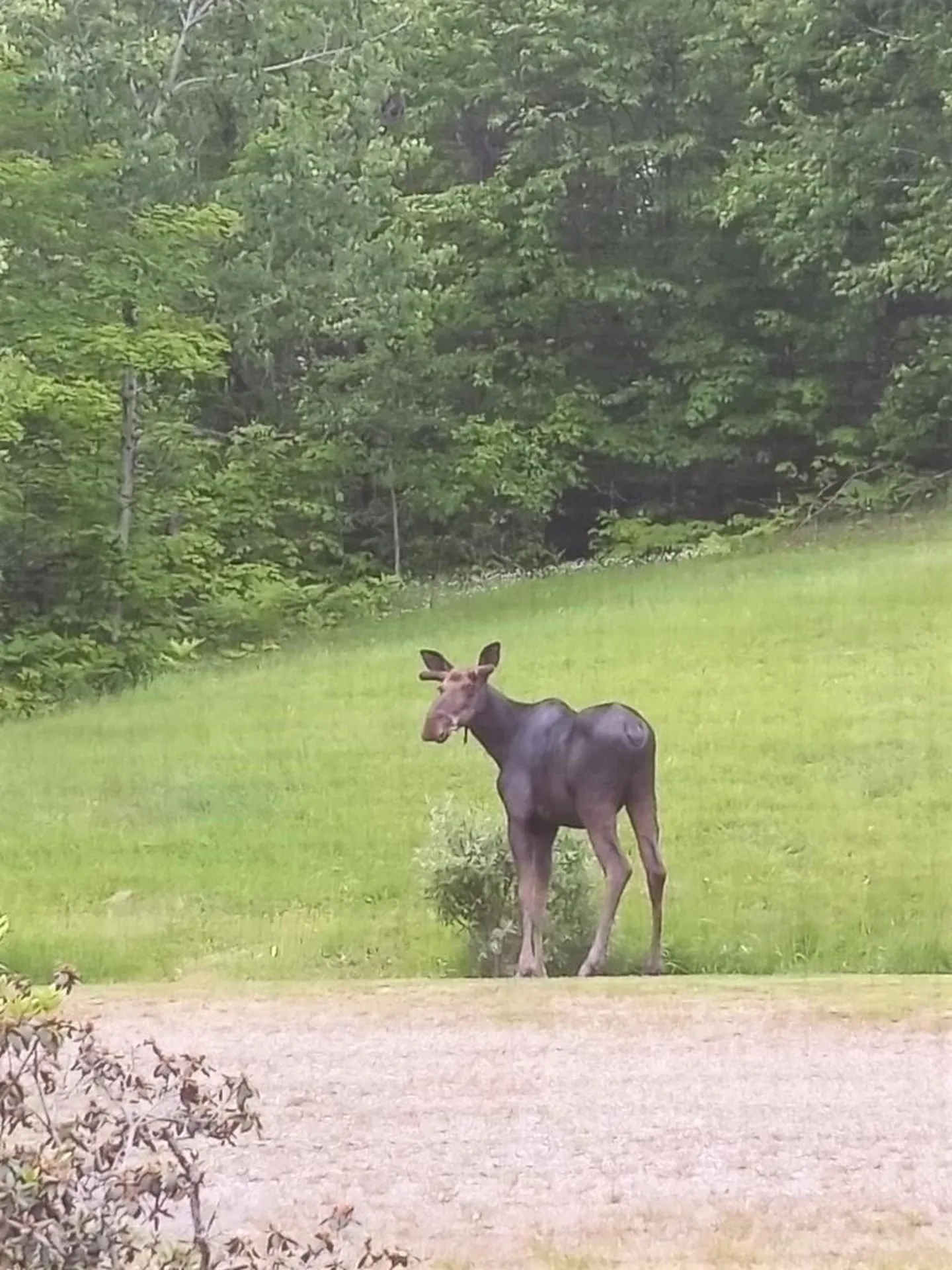 861 Upton Road Errol NH 03579