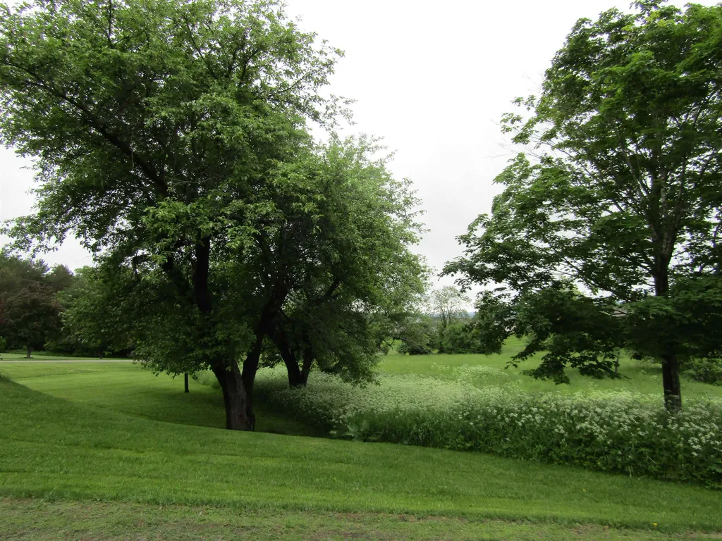 Lot 19 Smith Farm Road Barre Town VT 05641