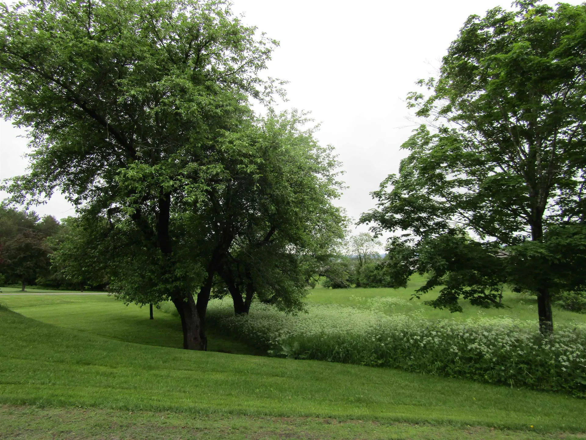 Lot 19 Smith Farm Road Barre Town VT 05641