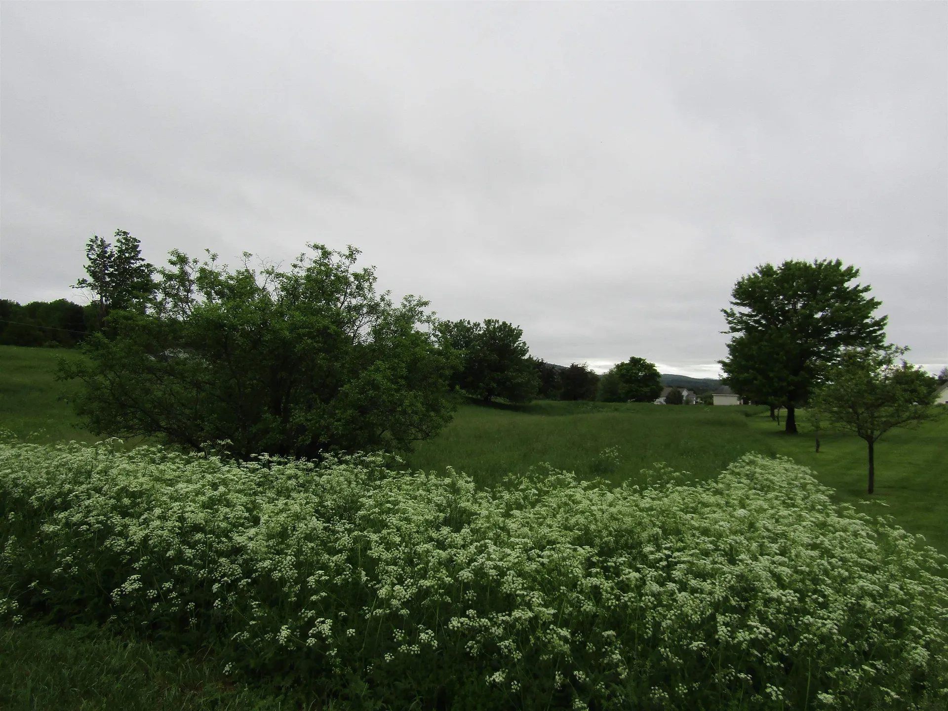 Lot 34 Countryside Drive Barre Town VT 05641