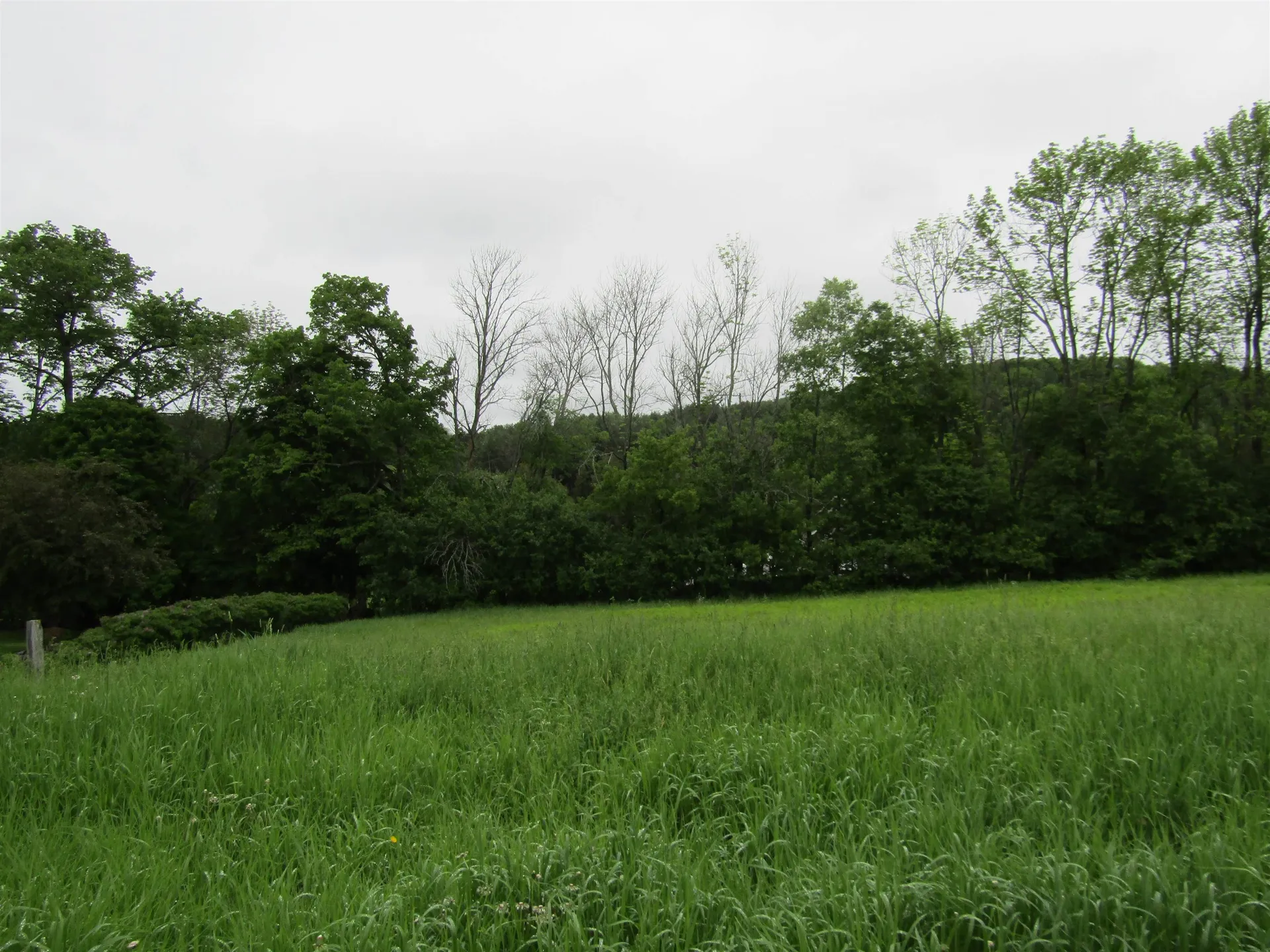 Lot 5 Countryside Drive Barre Town VT 05641