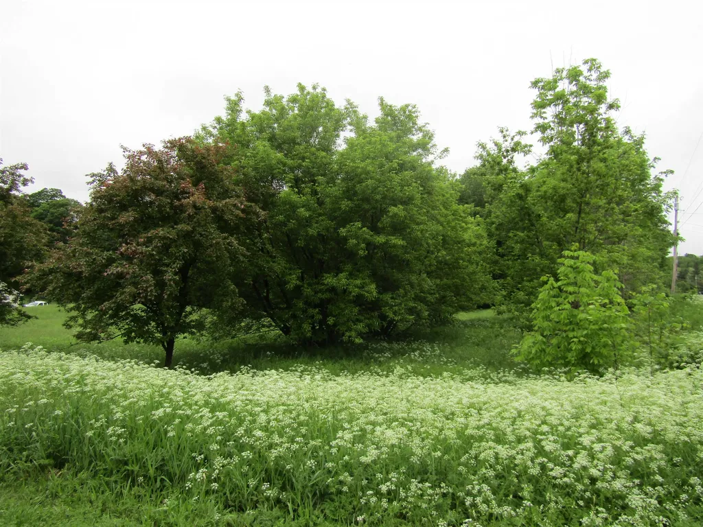 Lot 1 Countryside Drive Barre Town VT 05641