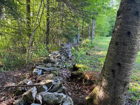 1996 Union Brook Road Northfield VT 05663