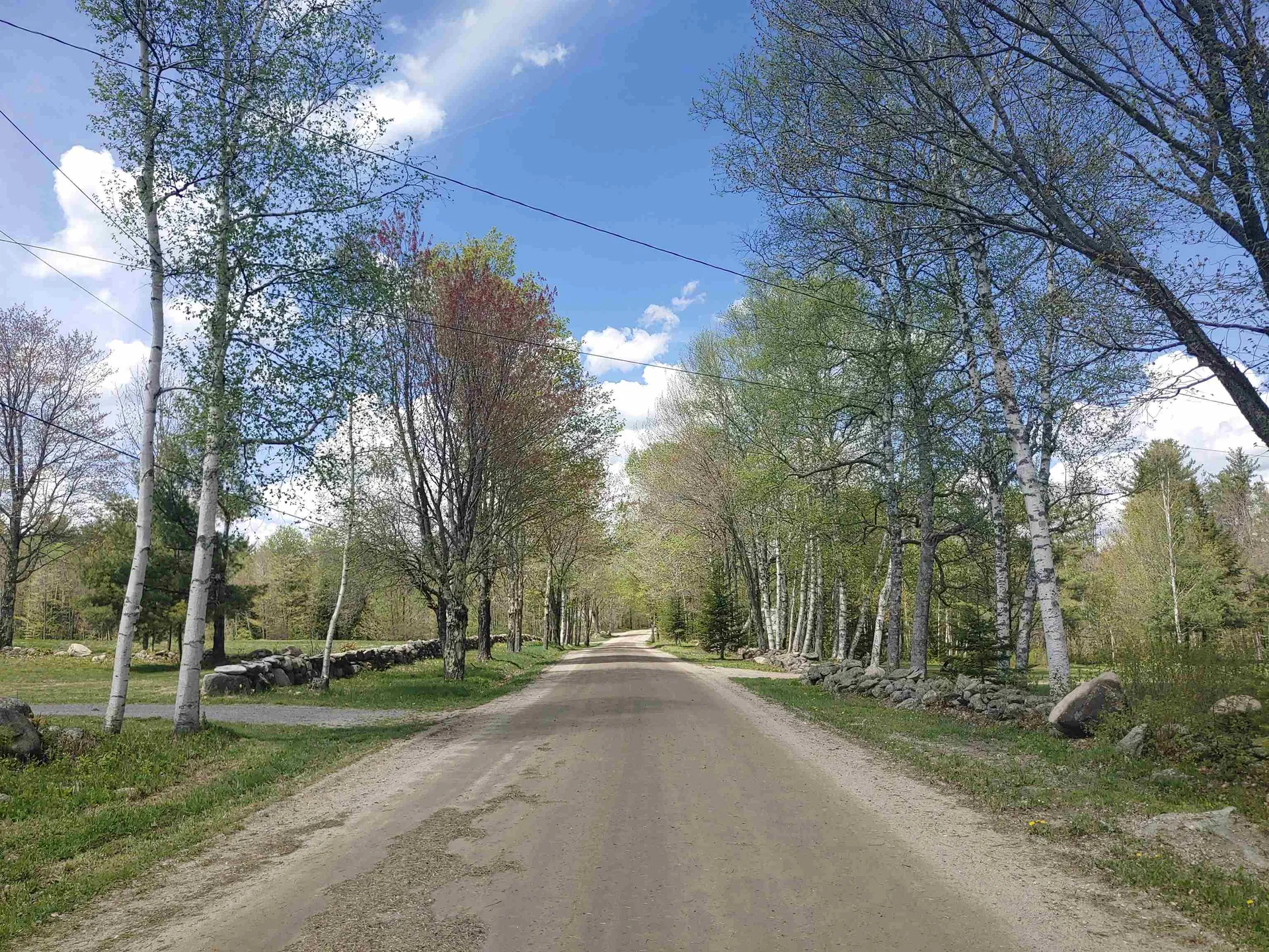 586 Atwell Hill Road Wentworth NH 03282